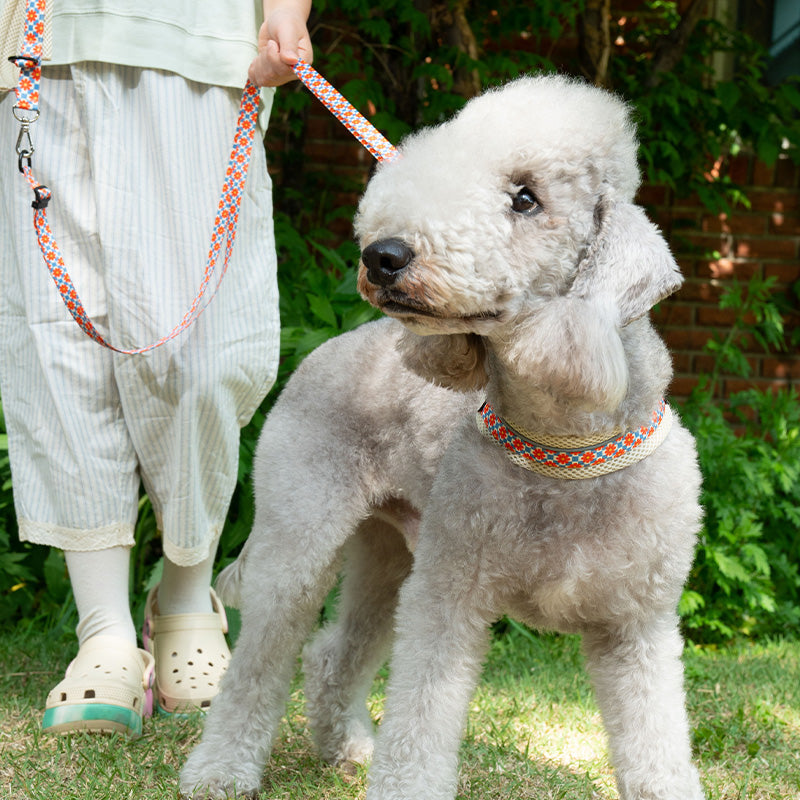 Retro flower Dog V harness