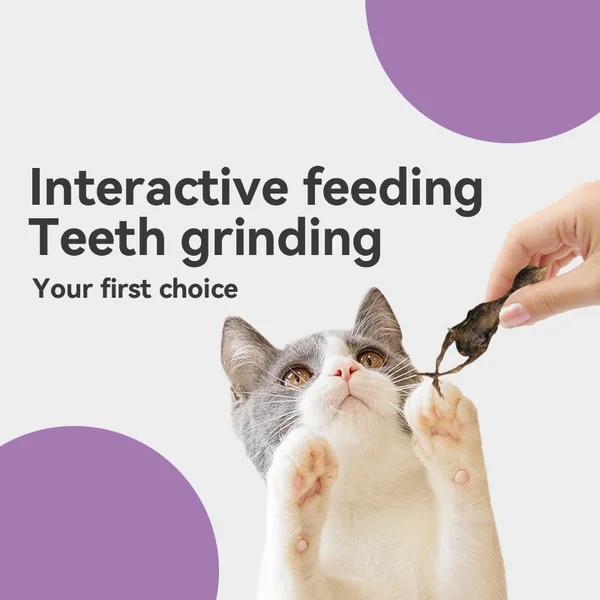 Ranova Freeze-dried Whole Quail - 40g