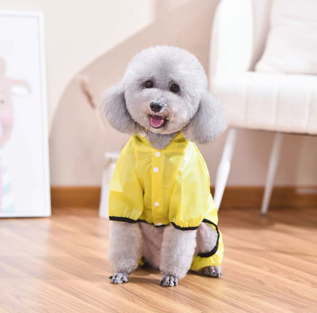 Pet Picnic rain coat