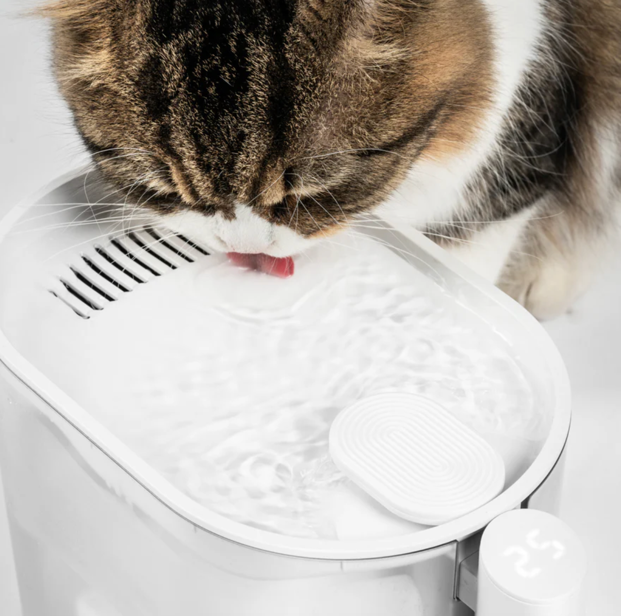 pidan Water Fountain for Cats with Water Temperature Control 2.0