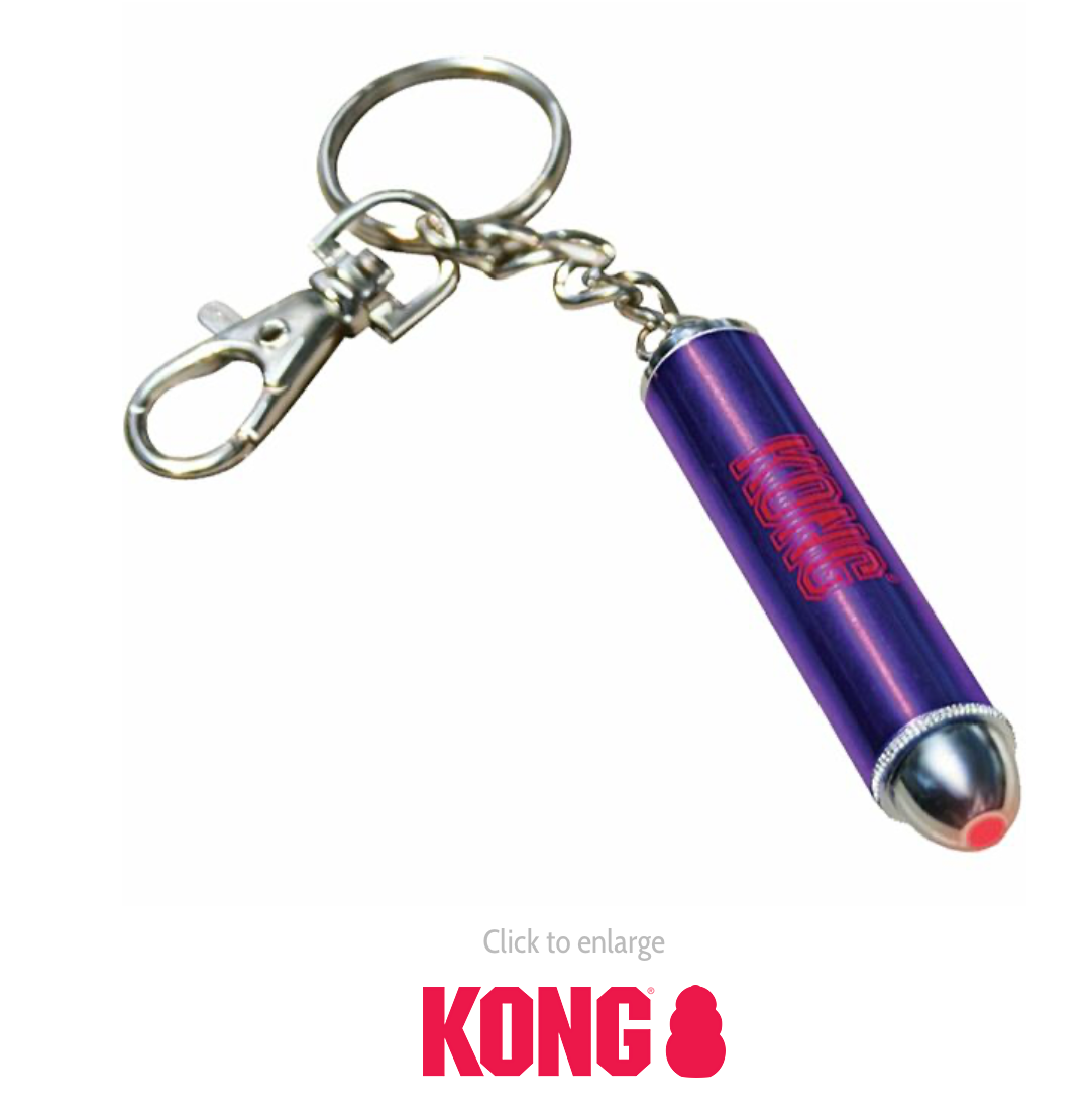 KONG | Laser Toy