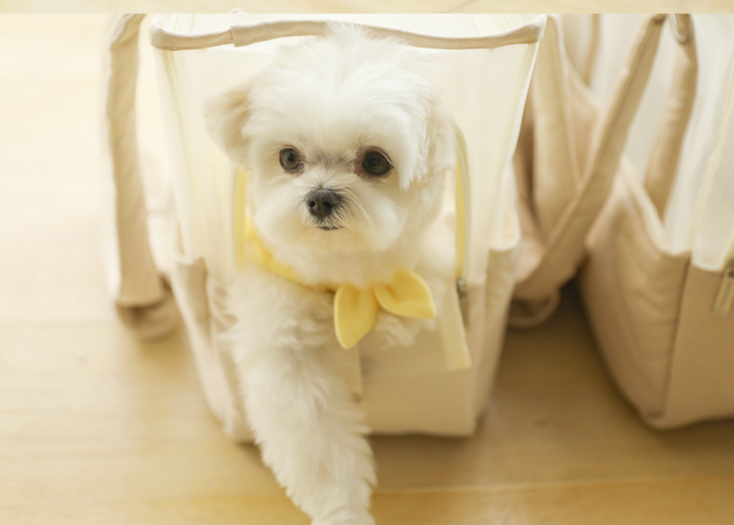 ba&ttang mesh two in one shoulder bag- cream