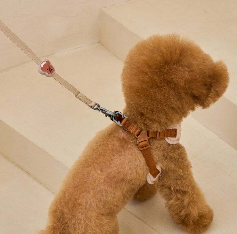 Bennys ONE TOUCH HARNESS