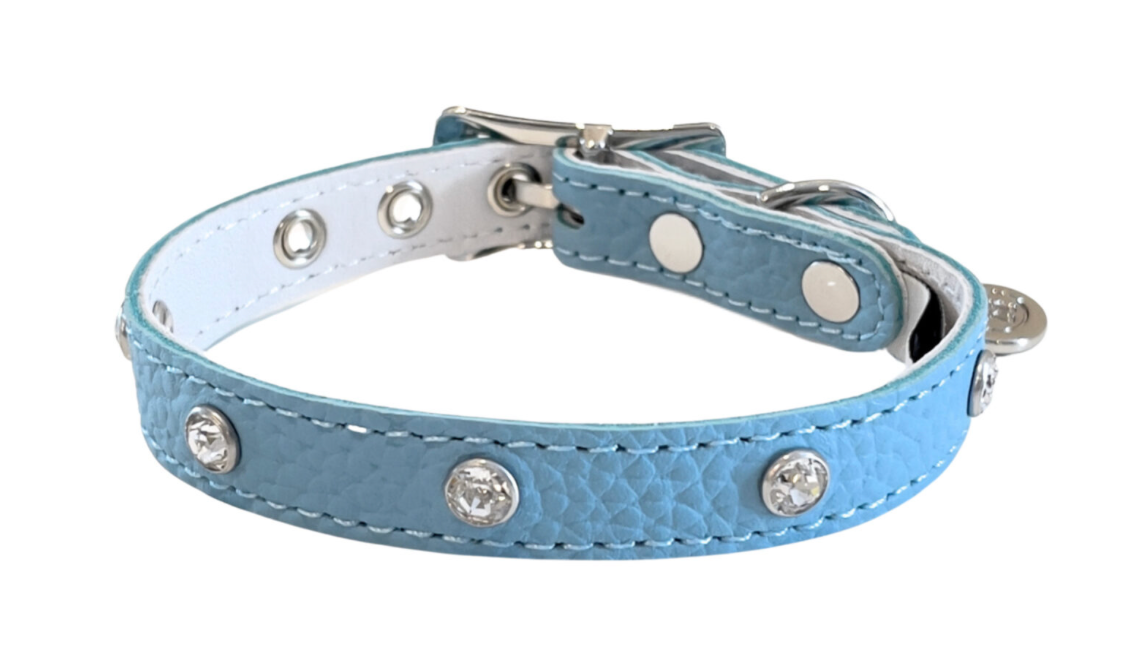 Buddy Belts Collars – Permanent Blue with crystal