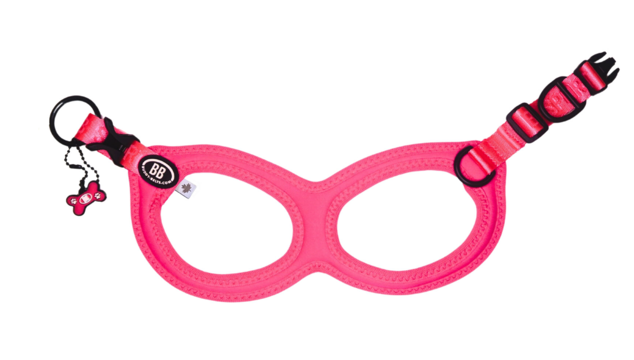 Buddy Belts Harnesses – Sport – Vibrant Flamingo