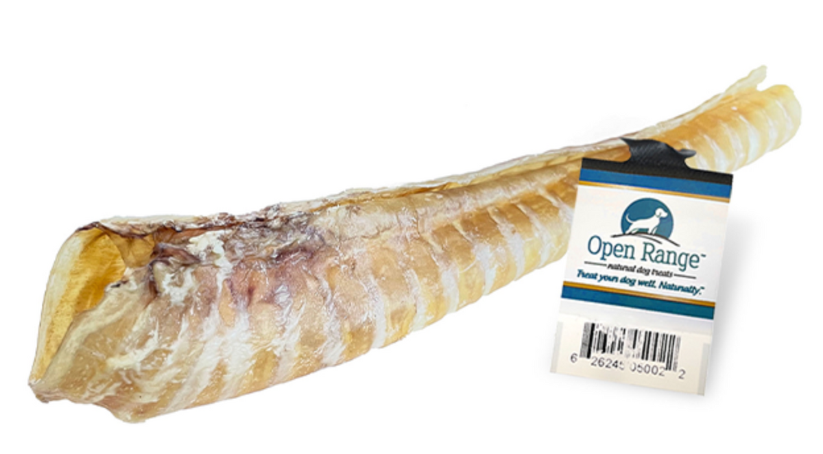 Open Range Beef Trachea 12"