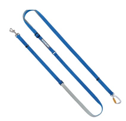 Puppy Gallery GO Mentum Dog Lead