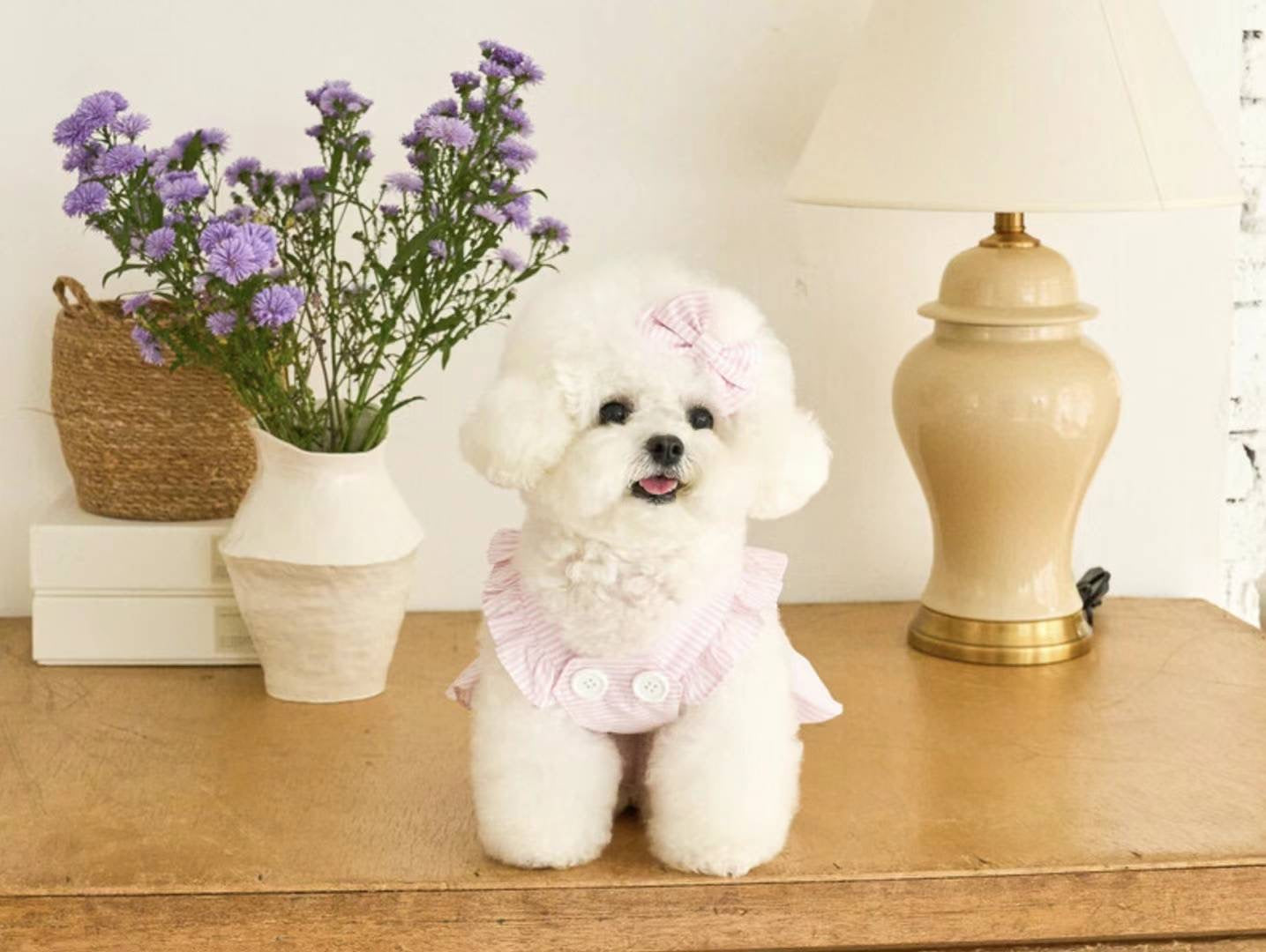 Kiki & NiNi Striped Dress for Pets