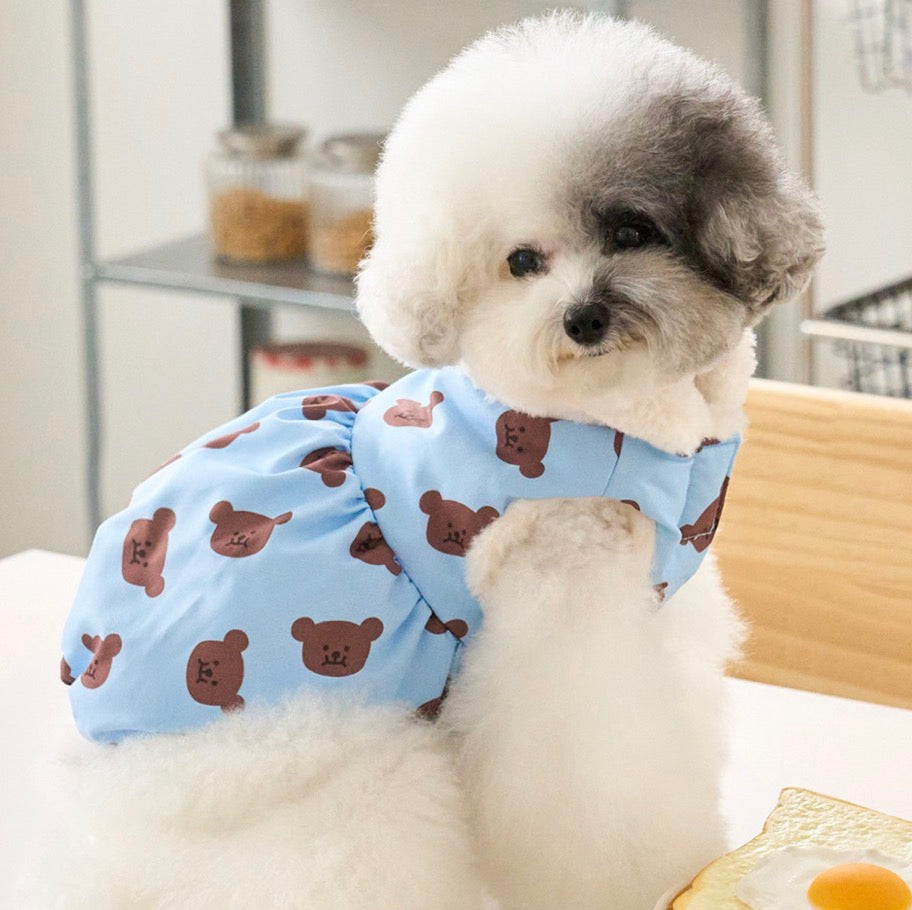 Bennys bear print dress