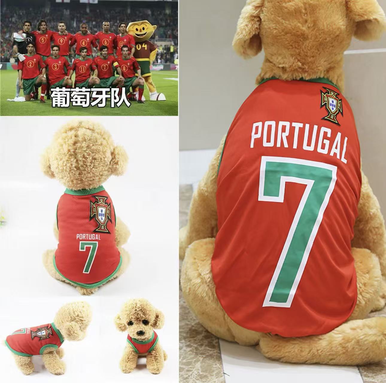 World Cup Pet Jersey