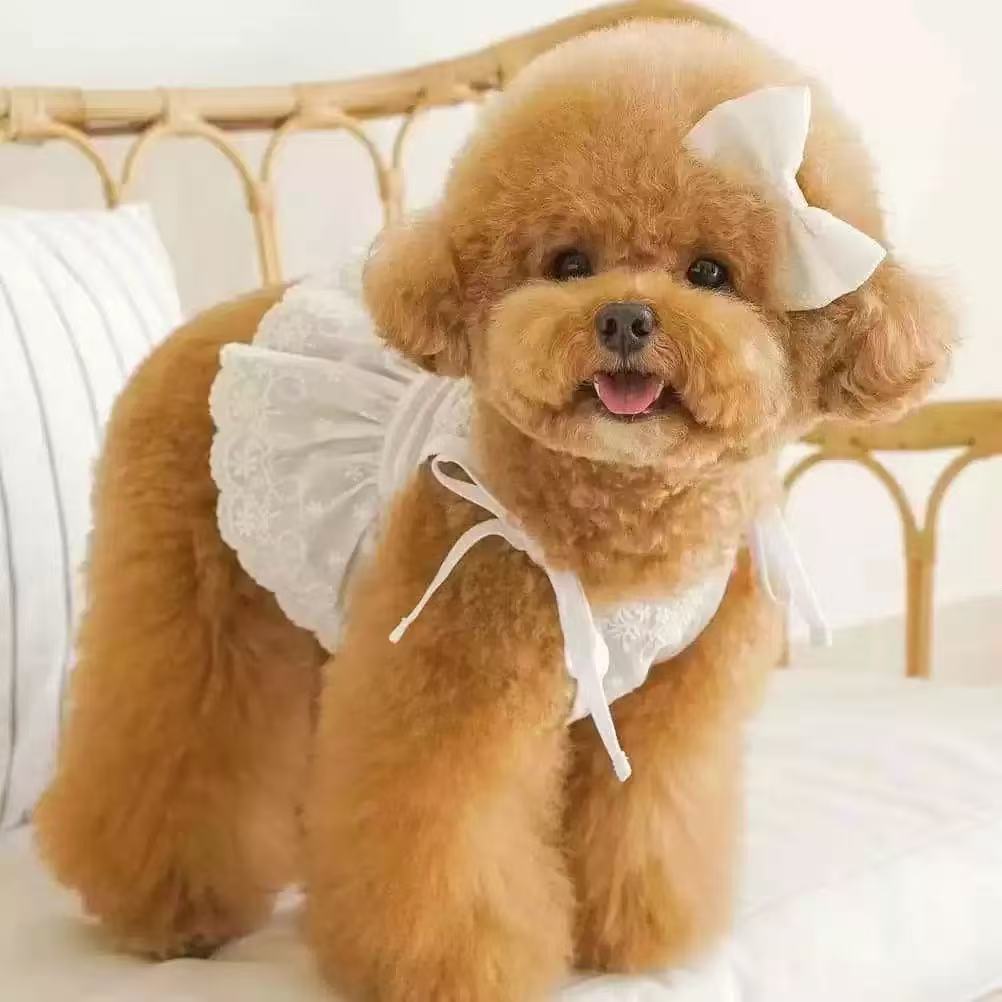 Pet Paradise Cute Lace Princess Dress for Small Dogs – Bow Tie Design