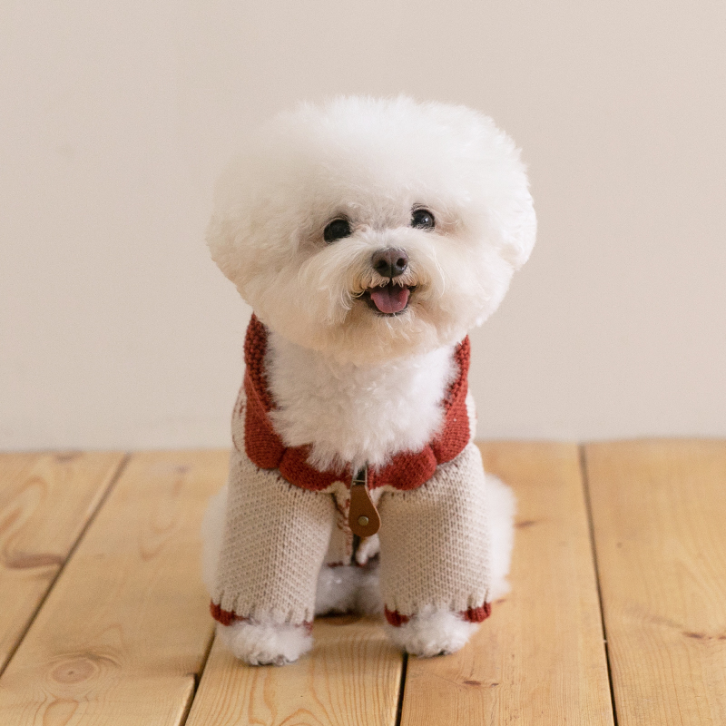 SSFW Maple Kowichan - Bunny