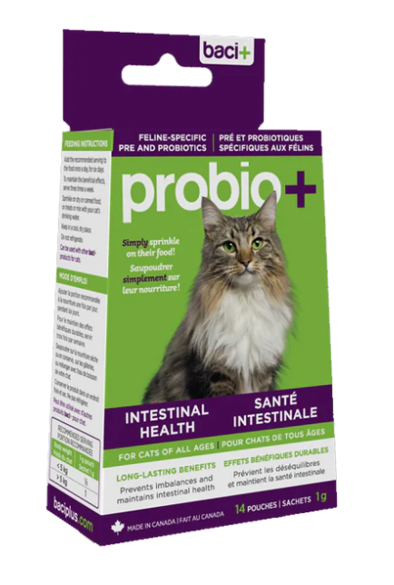 baci+ probiotics for cat intestinal health