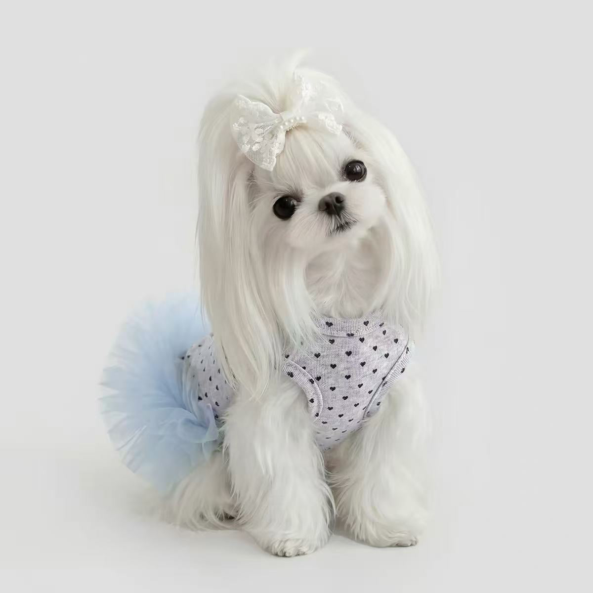 mp  pet clothes
