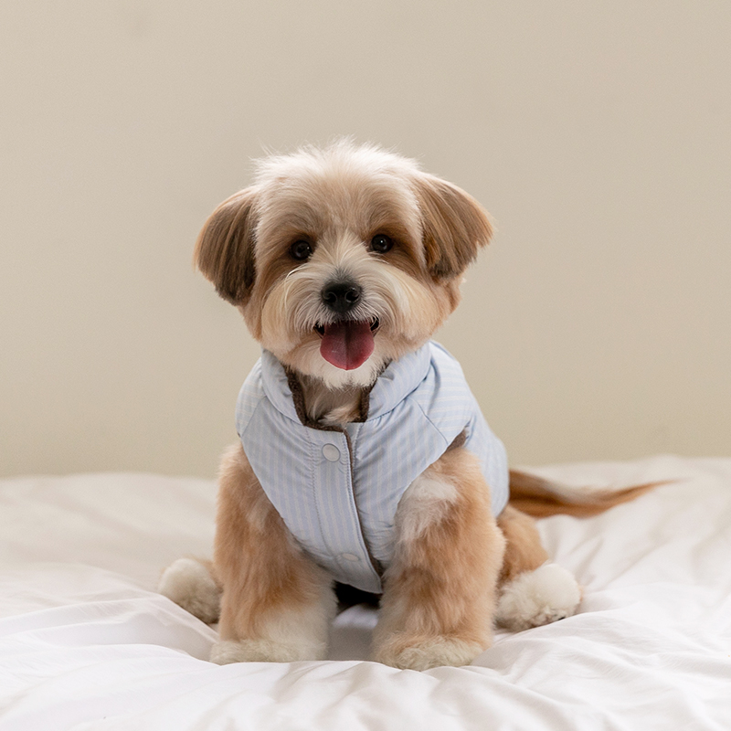 SSFW Mongle Reversible Padded - Blue