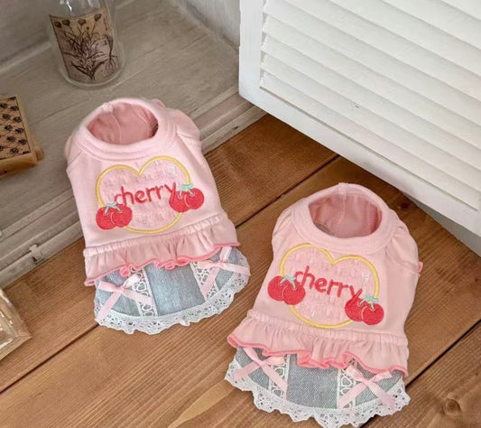 mp  pet clothes