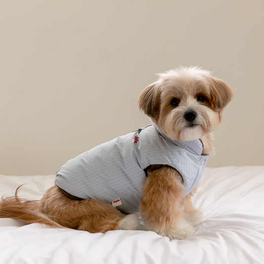 SSFW Mongle Reversible Padded - Blue