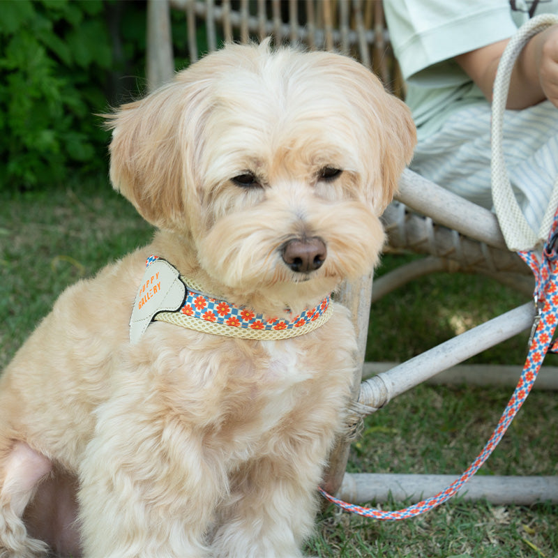 Retro flower Dog V harness