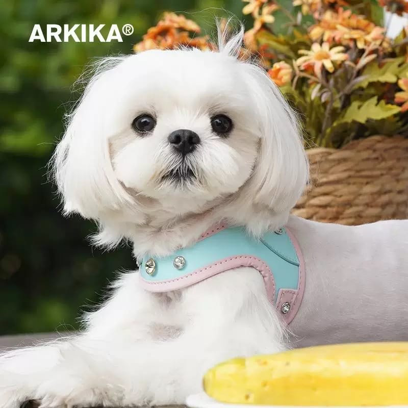 ARKIKA DOUBLE colour  Gem Harness