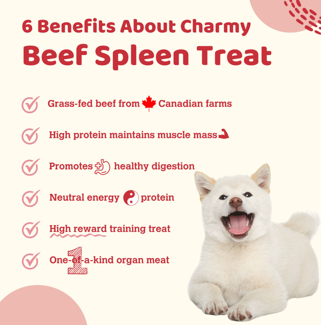 CHARMY PET Dog & Cat Treat Beef Spleen