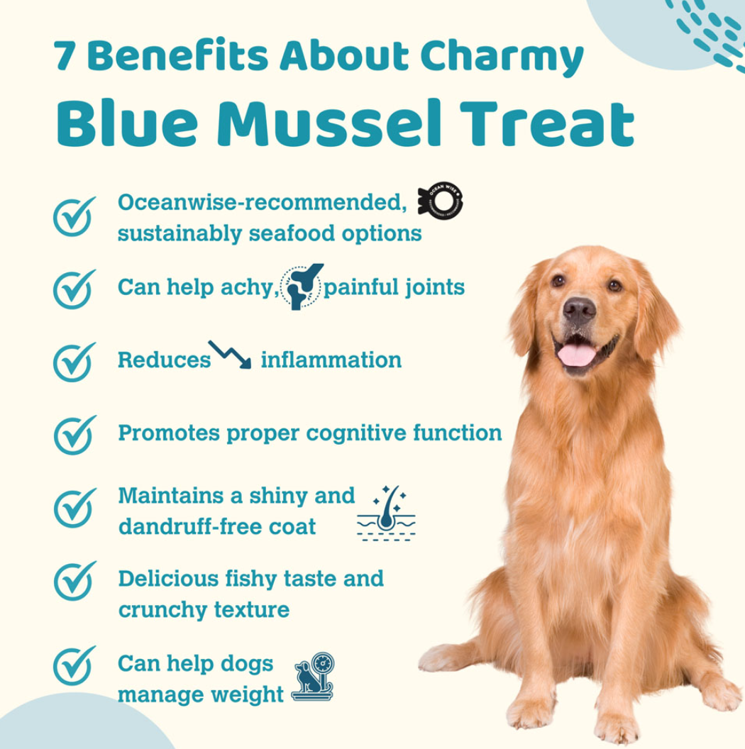 CHARMY PET Dog & Cat Treat Blue Mussel