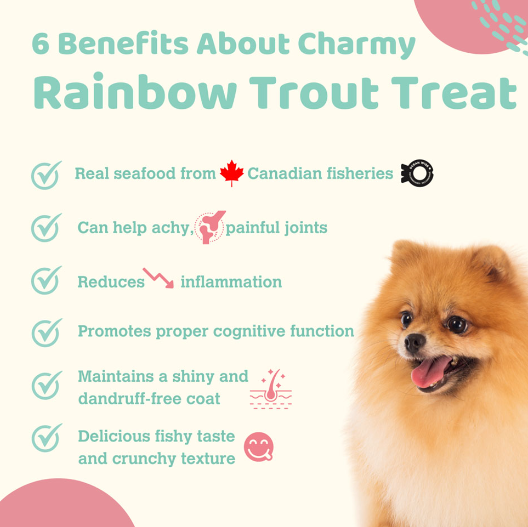 CHARMY PET Dog & Cat Treat Rainbow Trout Filet