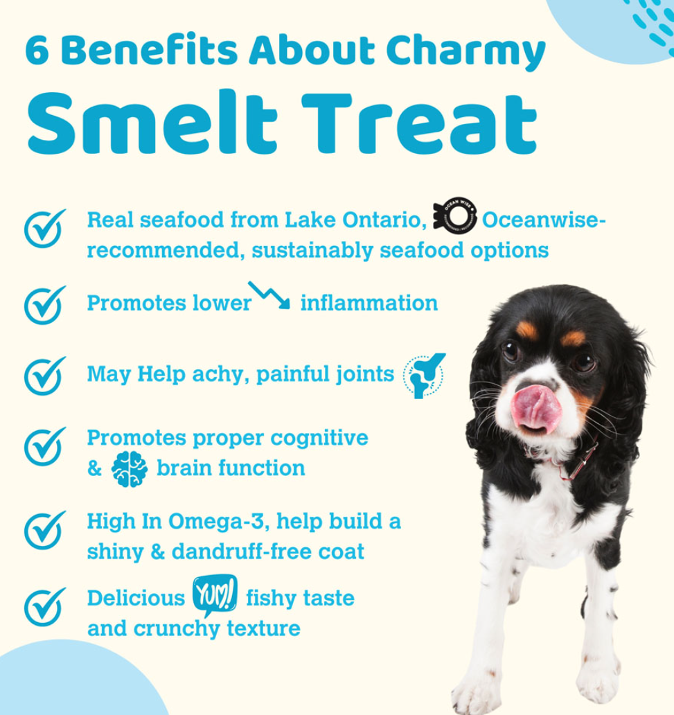 CHARMY PET Dog & Cat Treat Smelt