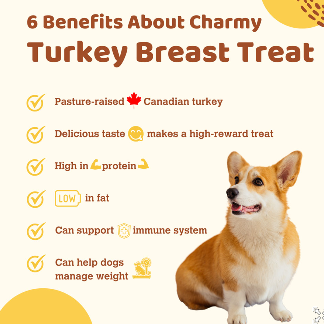 CHARMY PET Dog & Cat Treat Turkey Breast