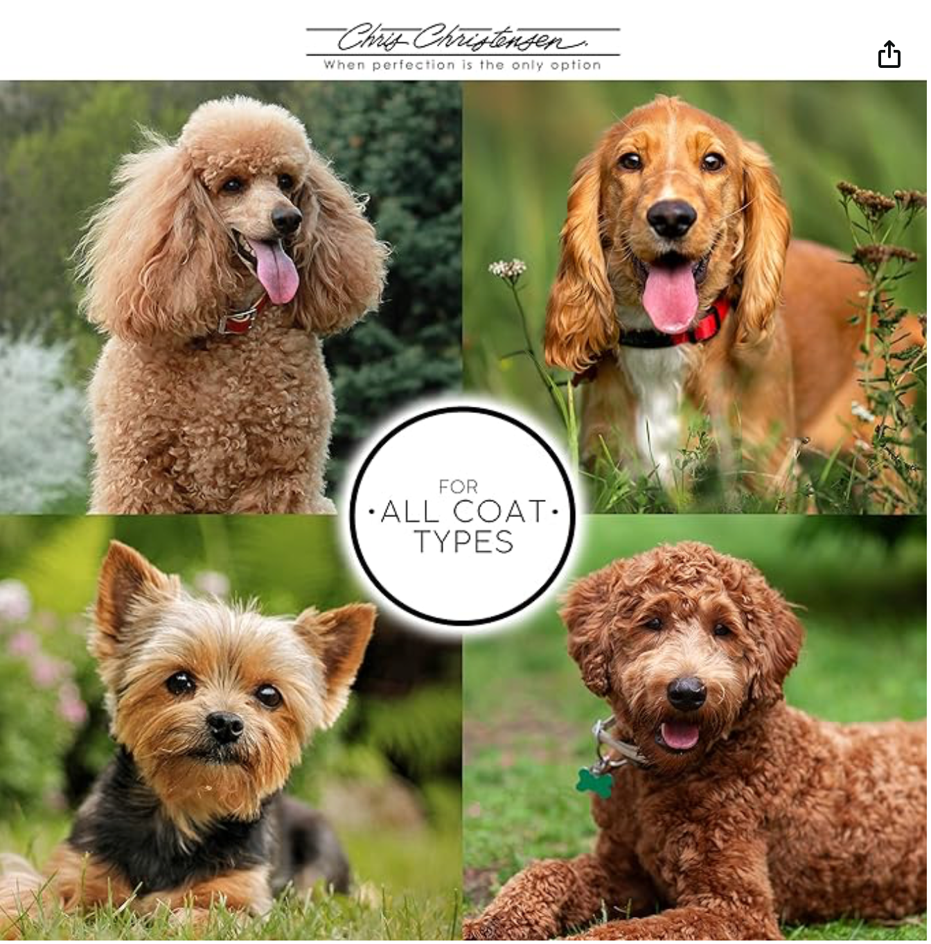 Chris Christensen Mark Slicker Brushes A5III Mark III Medium