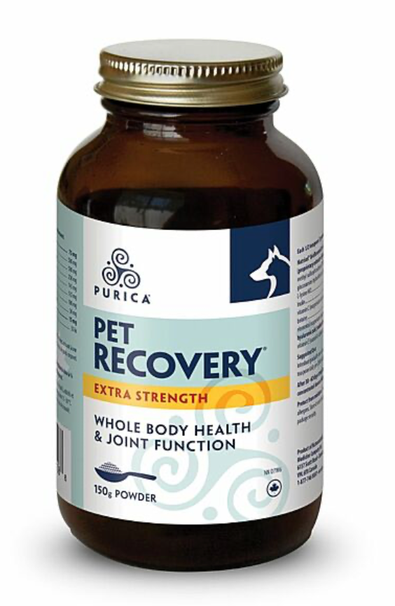 Recovery Extra Strength Powder 150GM