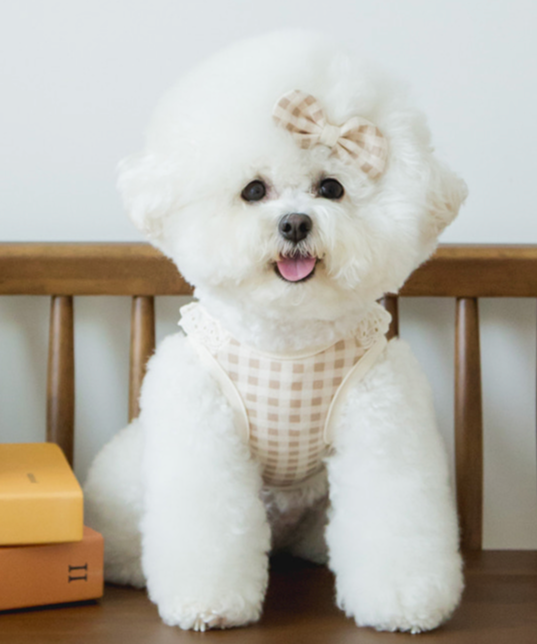 RUANDDAM Cozy check sleeveless