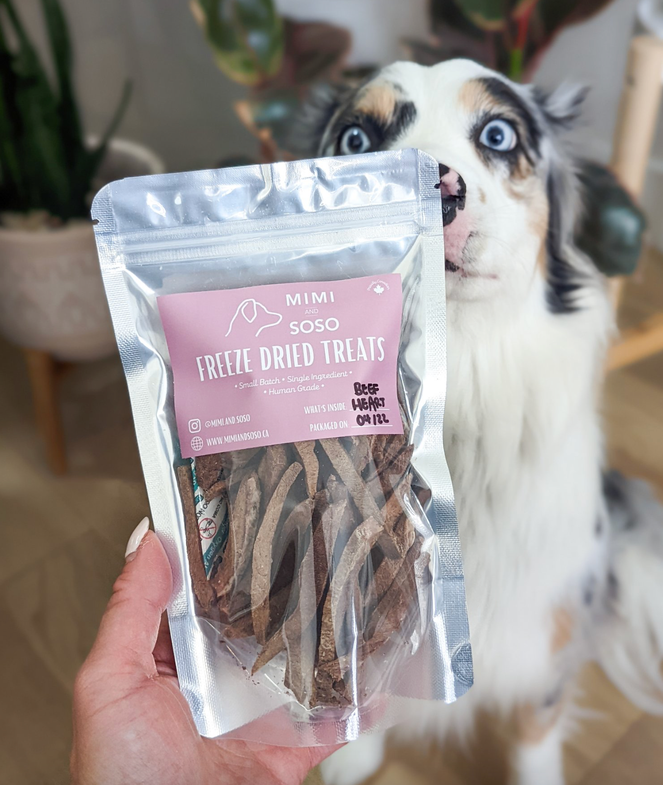 MIMI AND SOSO FREEZE DRIED BEEF HEART FRIES