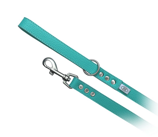 Buddy Belts All Leather Leashes - Limited Tiffurny