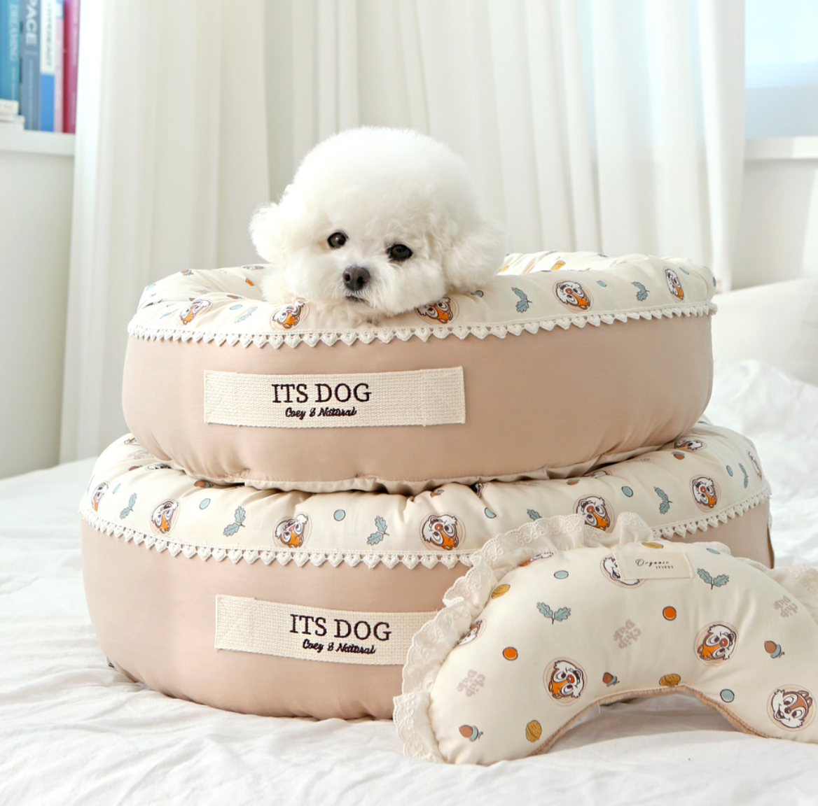 Its dog Disney bed
