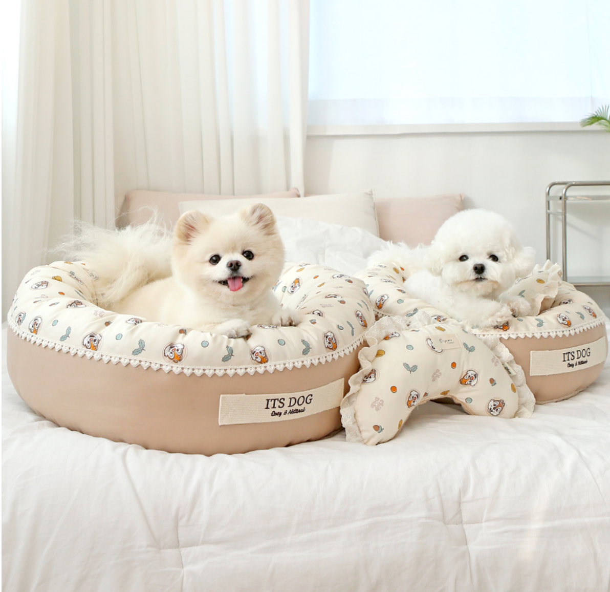 Its dog Disney bed