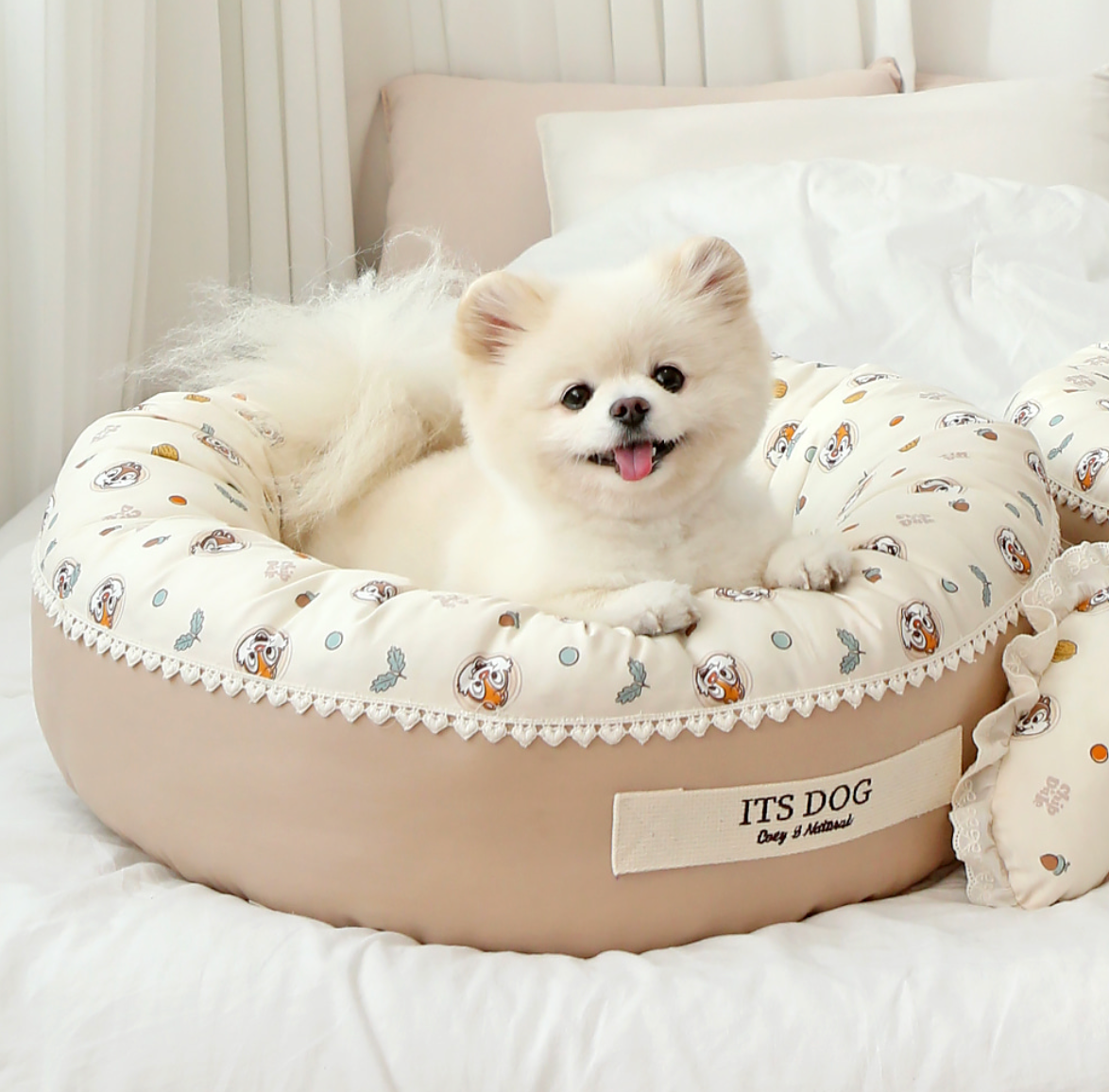 Its dog Disney bed