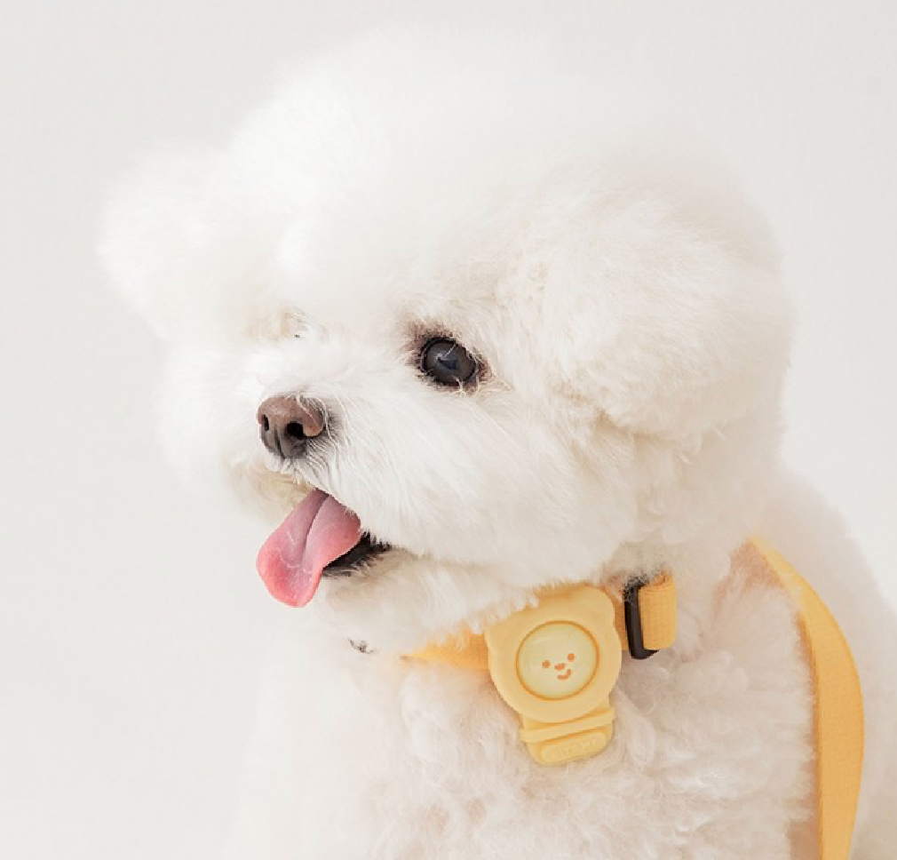 Biteme Hate Me Band Mosquito Repellent Clip (4colors)