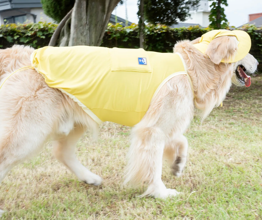 PuppyGallery Outside Plus Cooling Tank Top