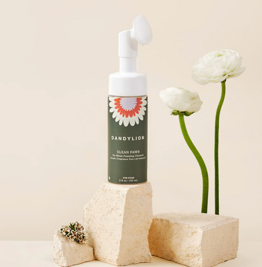 Dandylion Clean Paws No-Rinse Foaming Cleanser