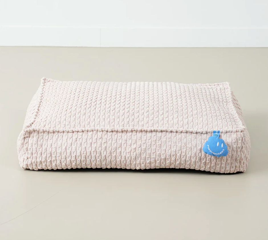 Puppygallery Macaron Box Pillow