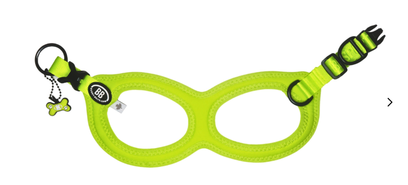 Buddy Belts Harnesses – Sport – Vibrant Kiwi