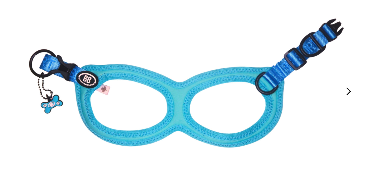 Buddy Belts Harnesses – Sport – Vibrant Kingfisher