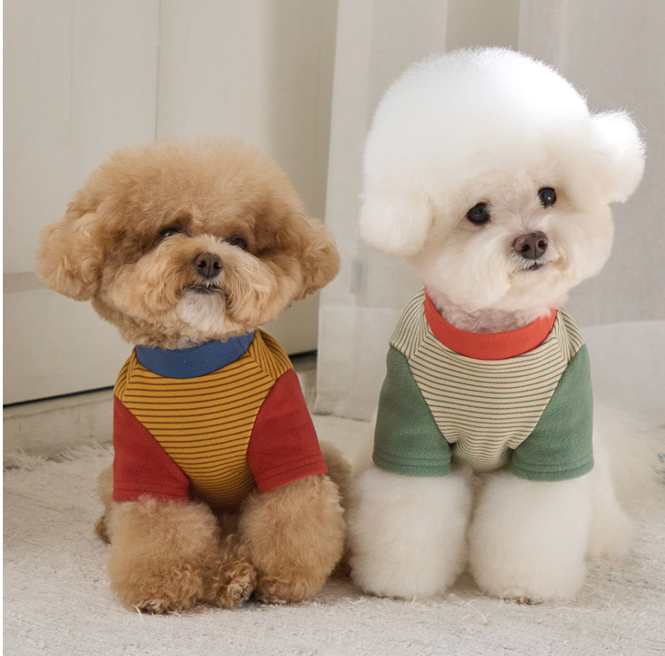 Bennys WIGGLY T-SHIRT