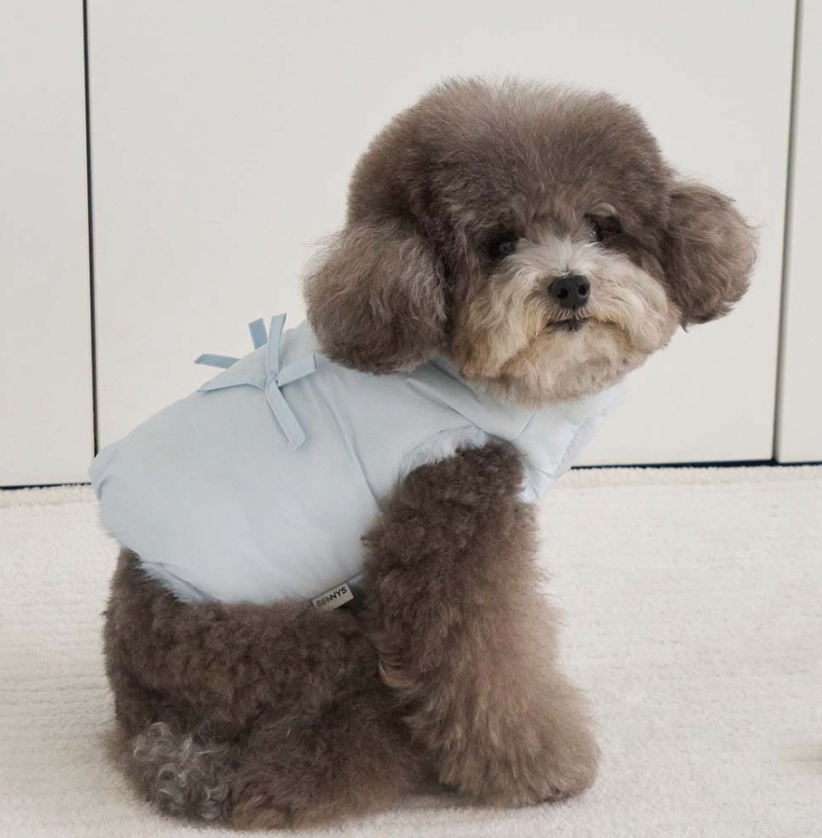 Bennys POMELO PADDING (SKYBLUE)