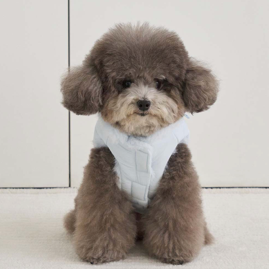 Bennys POMELO PADDING (SKYBLUE)