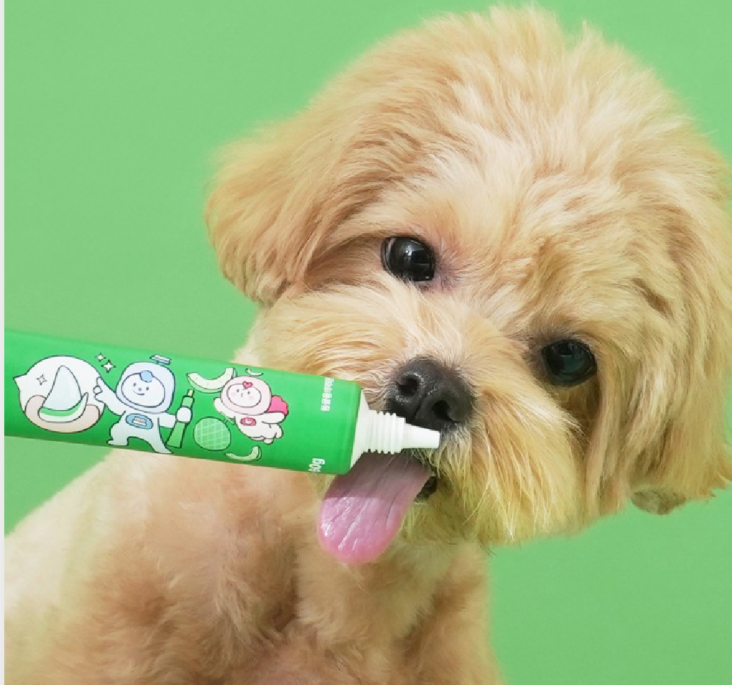 Haruchika dental clean toothpaste