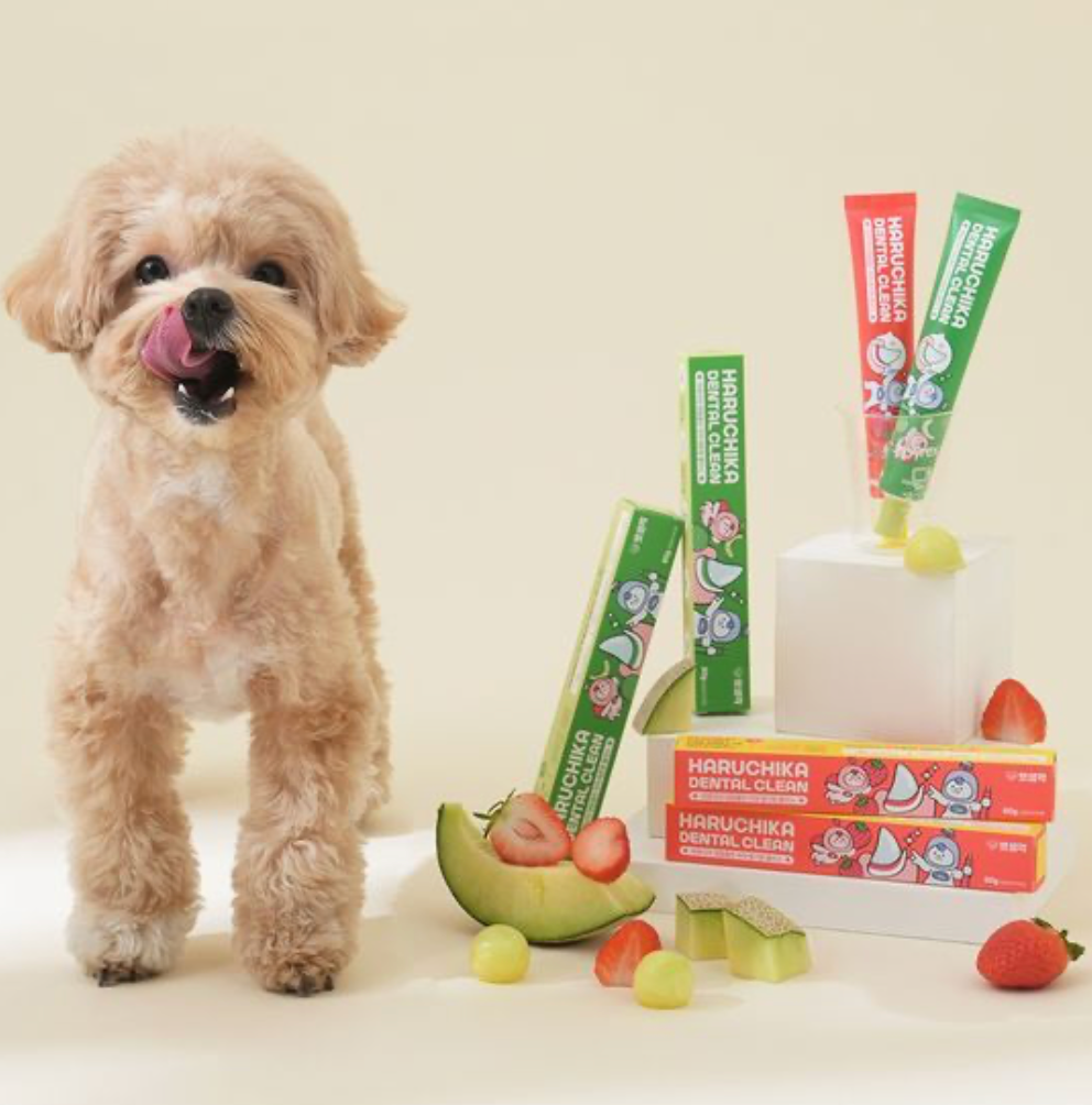 Haruchika dental clean toothpaste