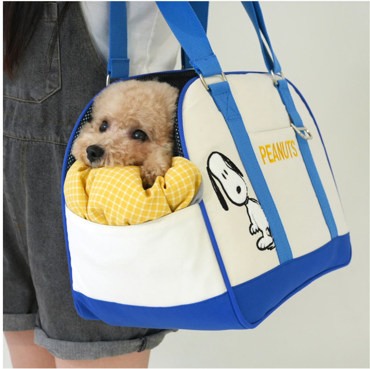 ParisDog Peanuts Snoopy Soft Pet Carrier