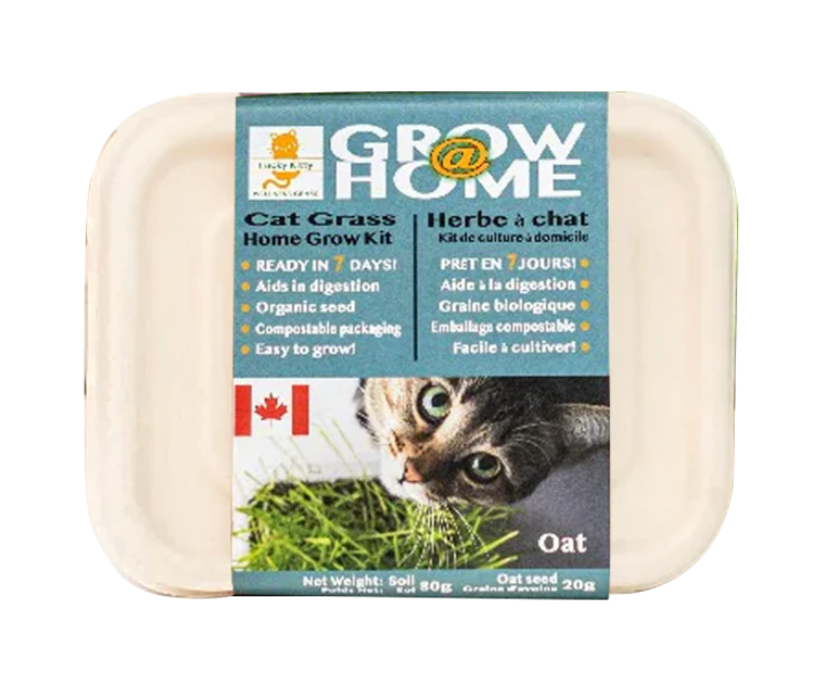 Lucky Kitty - Grow at Home Cat Grass OAT
