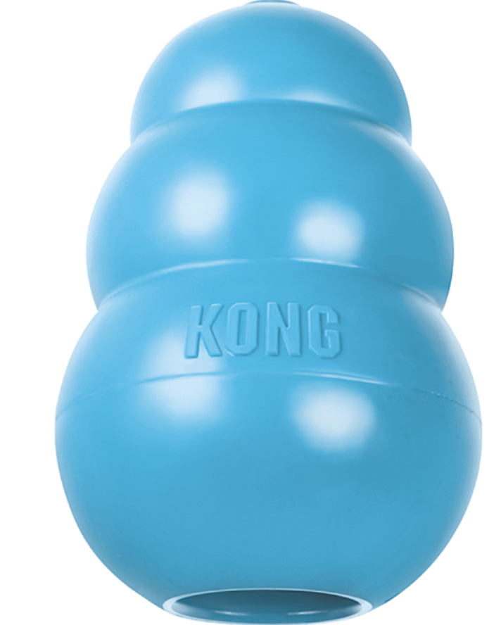 KONG Puppy